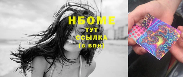 ГАЛЛЮЦИНОГЕННЫЕ ГРИБЫ Новозыбков